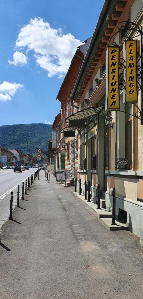 Pension Flamingo Braşov